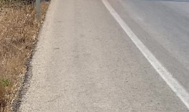 Bursa'da otomobil alevlere teslim oldu