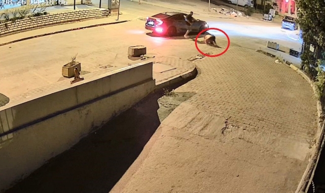 Bursa'da sevgilisini dakikalarca böyle darp etti, çok geçmeden yakalandı