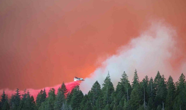 California tarihinin en büyük 4. orman yangını: 400 bin dönümden fazla alan kül oldu