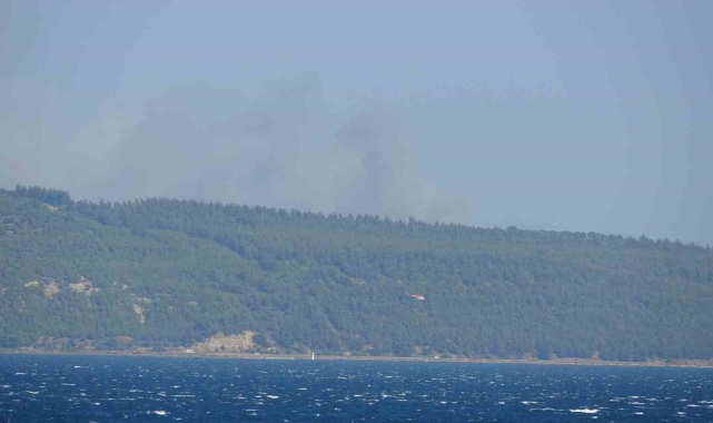 Çanakkale'de orman yangını