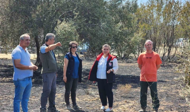 Çanakkale'de orman yangının ardından hasar tespit çalışmaları başladı