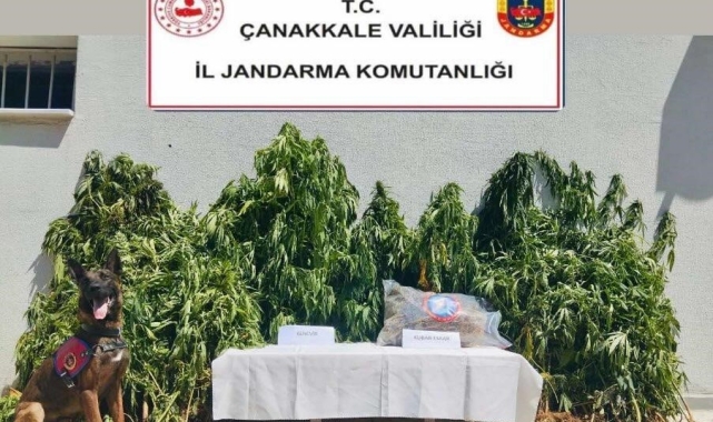 Çanakkale'de uyuşturucu operasyonu