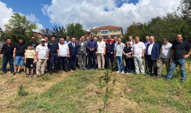 Çaycuma kaymakamı Aronya meyvesi ilk hasadını yaptı