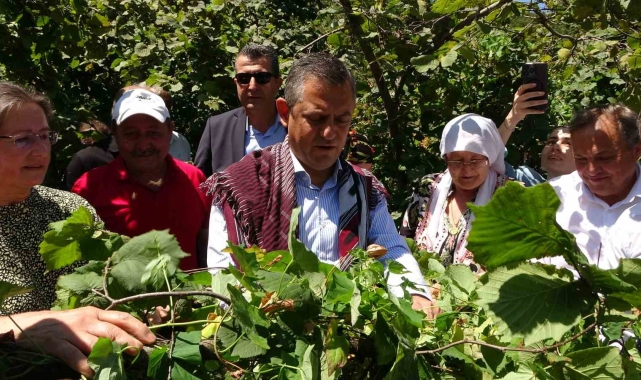 CHP Lideri Özel'den 'fındık fiyatı' eleştirisi: "Hızla revize edilmeli"