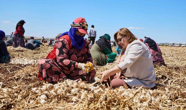 Çiftçiye 8 milyon 432 bin 925 litre mazot desteği verildi