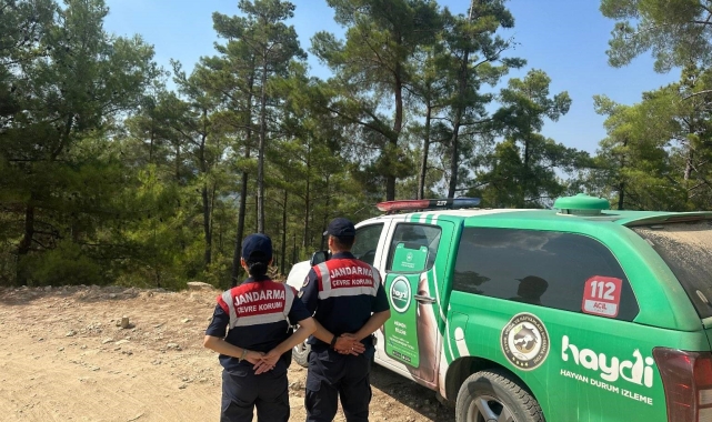 Çine'de doğal yaşam alanları kontrol edildi