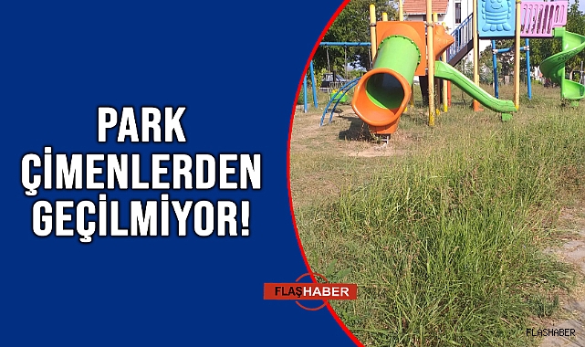 ÇOCUK PARKI ORMAN OLMUŞ!