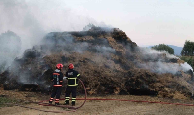 Çocukların kibritle oyunu yangına sebep oldu: 990 balya saman kül oldu