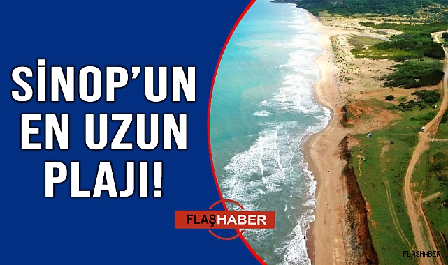 ÇÖL KUMLARINDAN OLUŞAN EŞSİZ EKOSİSTEM!