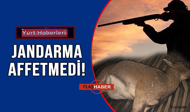DAĞ KEÇİSİ AVINA ŞOK CEZA!