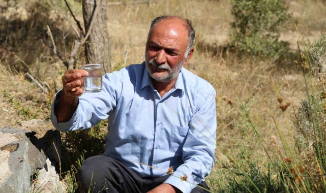 Dayanılmaz kokusuna rağmen şifa bulmak için kana kana içiyorlar