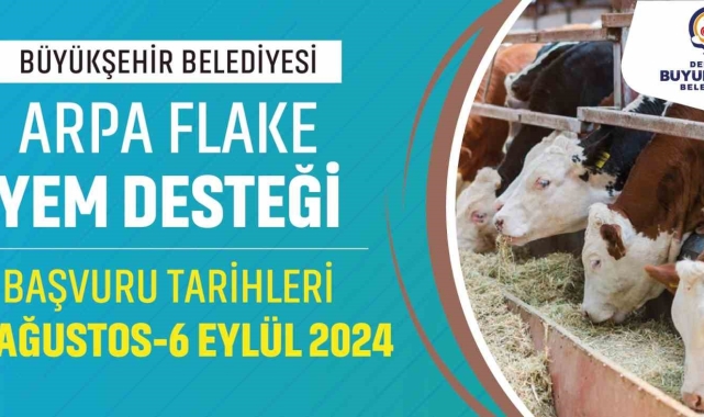 Denizli Büyükşehir büyükbaş hayvan üreticilerine yem desteği sağlayacak