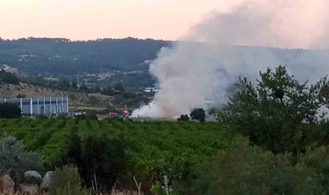 Denizli'de hurda ve moloz dökülen sahada yangın çıktı