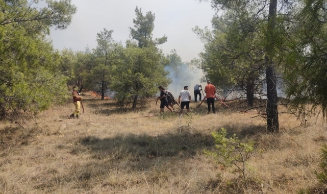 Denizli'de orman yangınına havadan ve karadan müdahale ediliyor