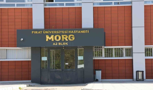 Devrilen traktörün altında kalarak hayatını kaybetti