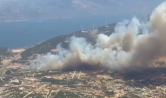 Didim'de makilik alanda yangın
