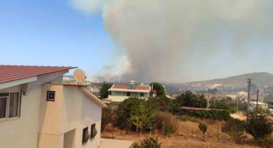 Didim'deki makilik alan yangınını söndürme çalışmaları sürüyor