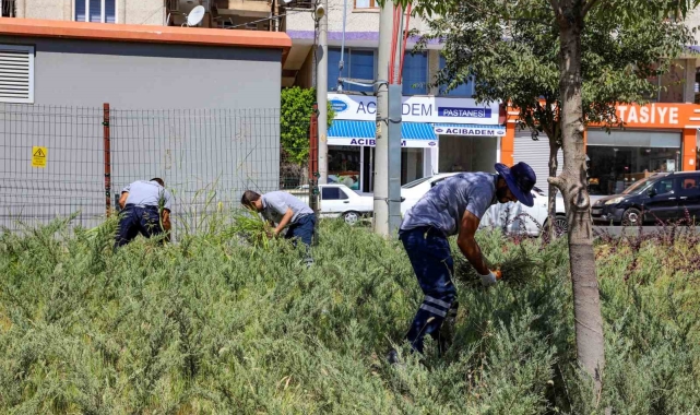 Diyarbakır'da park ve bahçelerde temizlik çalışmaları