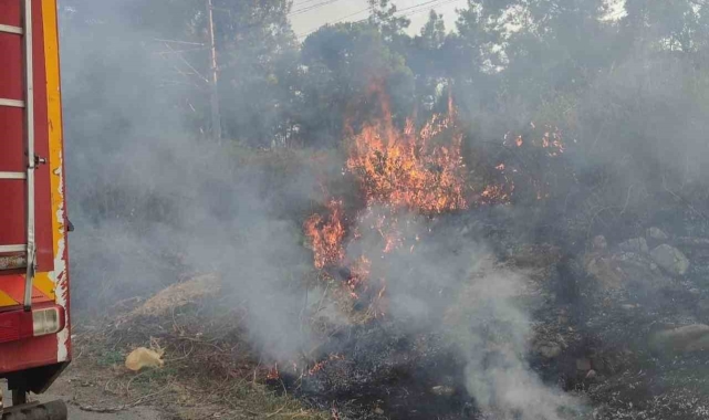 Dörtyol'da çıkan ot yangını itfaiye ekiplerin müdahalesiyle söndürüldü