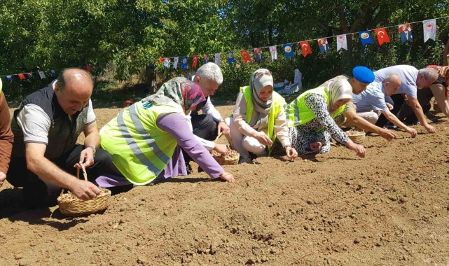 Dünyanın en pahalı baharatı safranın üretimine ORKÖY'den destek