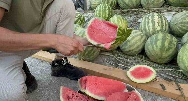 Düzce'de yerli karpuz tezgaha indi