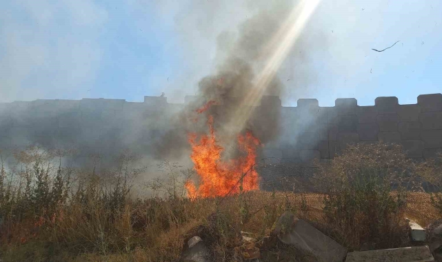 Edirne'de kaynak makinesinden çıkan kıvılcım 2 dekar buğdayı yaktı