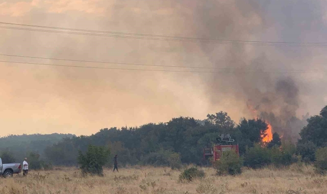 Edirne'de orman yangını anızlık alana sıçradı: 2 baraka zarar gördü