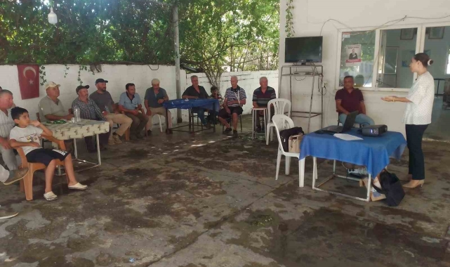 Efeler'de incirde dikkat edilmesi gerekilenler anlatıldı
