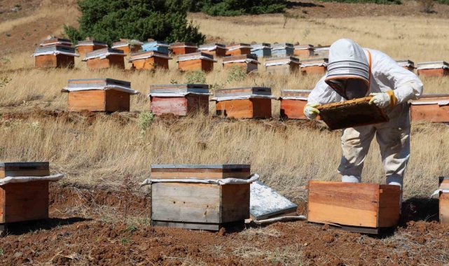 Elazığ Arı Yetiştiricileri Birliği, birinci derecede tarımsal örgüt unvanını kazandı