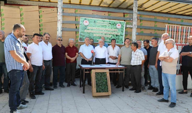 Elazığ'da 42 üreticiye fide dağıtıldı