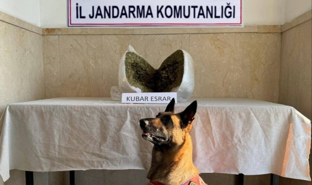 Elazığ&#039;da 7 kilo esrar ele geçirildi: 1 gözaltı