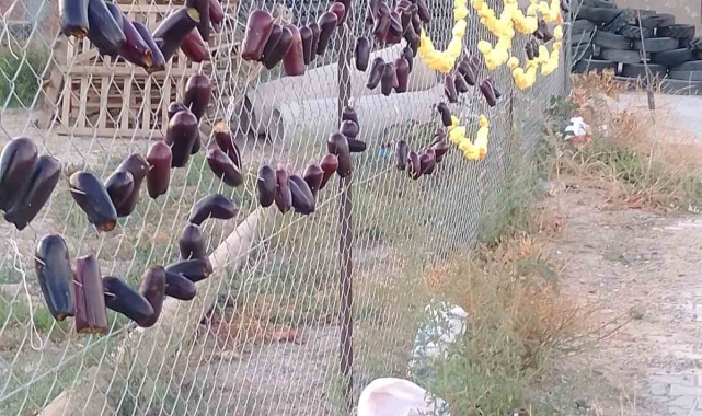 Elazığ'da kurutmalıklar sokakların süsü oldu