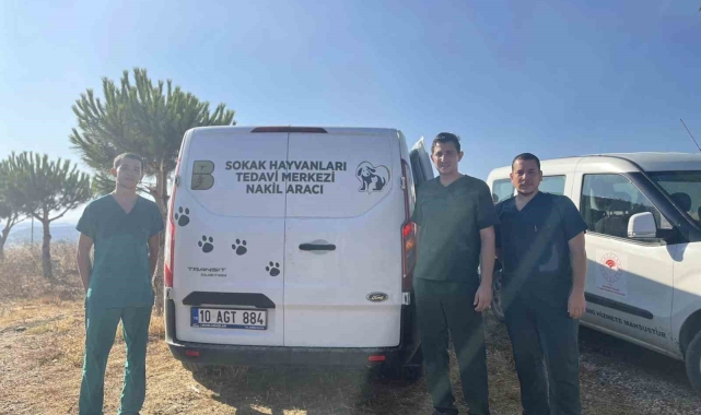 Erdek'teki yangında yaralanan hayvanlara anında müdahale