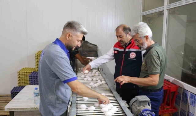 Erzincan'da tam otomatik tesislerde üretilen yumurtalar tarıma değer katıyor