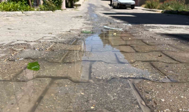 Eskişehir'de su boşa akıyor, belediye bakıyor