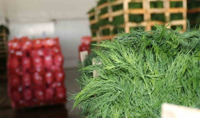 Eskişehirli çiftçilerin ihracat başarısı