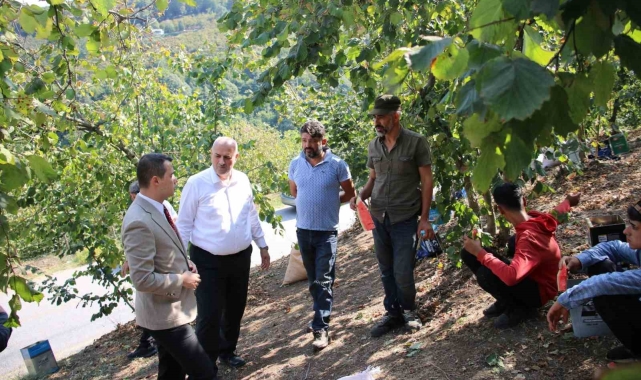 Fındık hasadı yapan işçilerle tarlada sohbet ettiler