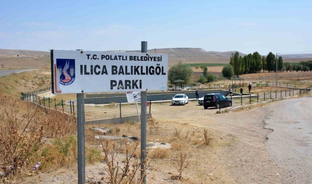 Gazi balıklar yok olma tehditi altında