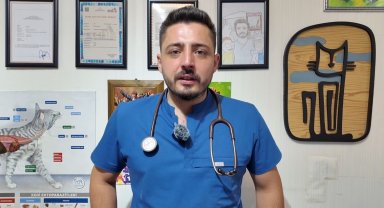 Gedizli veteriner hekim başlattığı sosyal sorumluluk projesine destek bekliyor