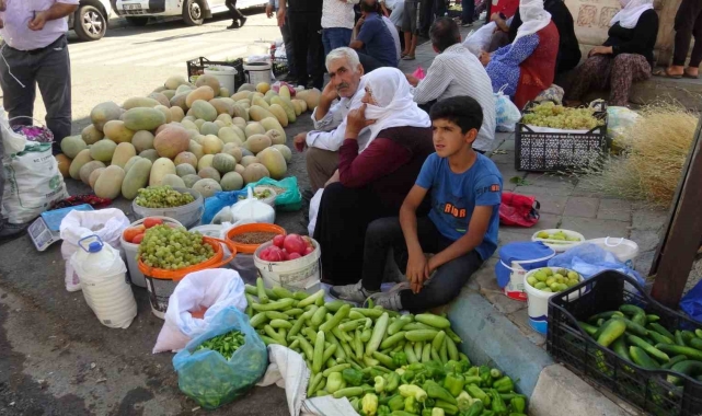 Gercüş'te organik ürünlerdeki bereket fiyatları düşürdü