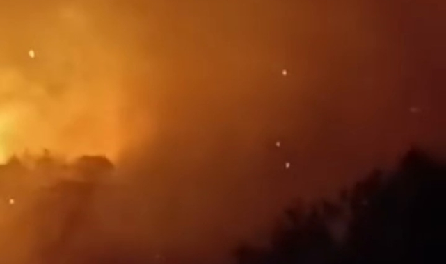 Germencik'te arazi yangını