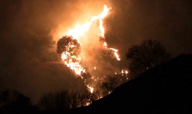 Germencik'te ziraat alanında çıkan yangın kontrol altına alındı