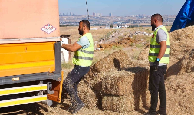 Gölbaşı Belediyesi'nden çiftçiye bin adet saman balyası