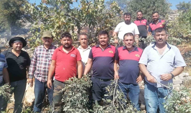 Gölbaşı İtfaiyesi orman yangınları ile mücadele ediyor