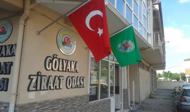 Gölyaka'da fındıkta işçi yevmiyelerine tavan fiyat uygulaması getirildi