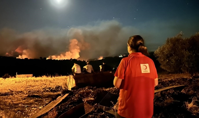 Gördes'teki 2 orman yangını devam ediyor