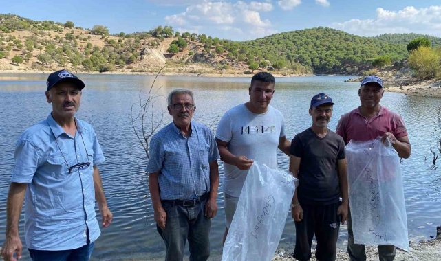 Gözkayası Göleti'ne sazan yavruları bırakıldı