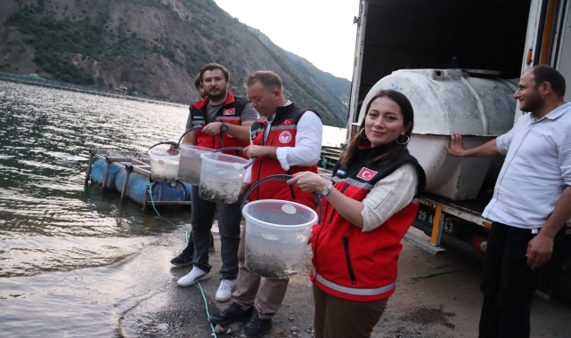 Gümüşhane'de baraj ve göletlere 246 bin sazan yavrusu bırakıldı