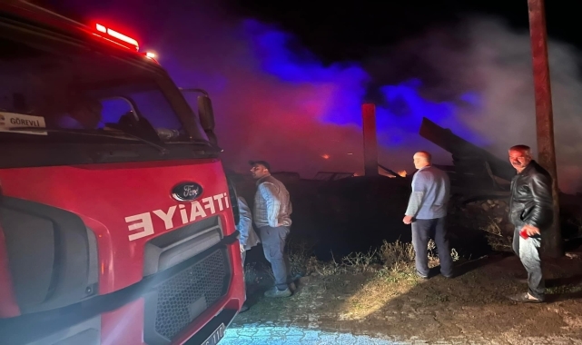Gümüşhane'de çıkan yangında 10 ev ve ahır hasar gördü