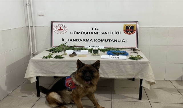Gümüşhane'de hakkında yakalama kararı olan zanlı yakalandı